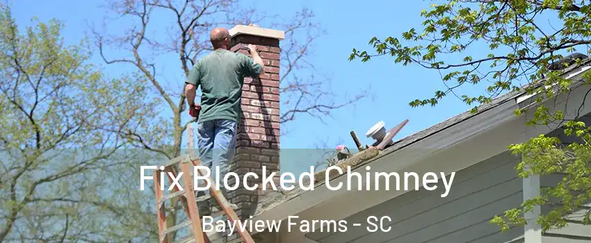 Fix Blocked Chimney Bayview Farms - SC