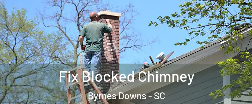 Fix Blocked Chimney Byrnes Downs - SC