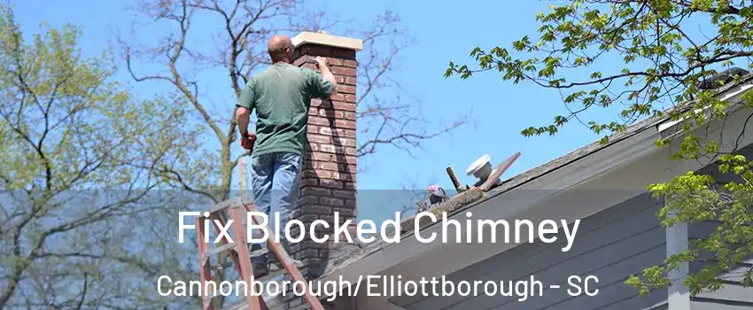 Fix Blocked Chimney Cannonborough/Elliottborough - SC