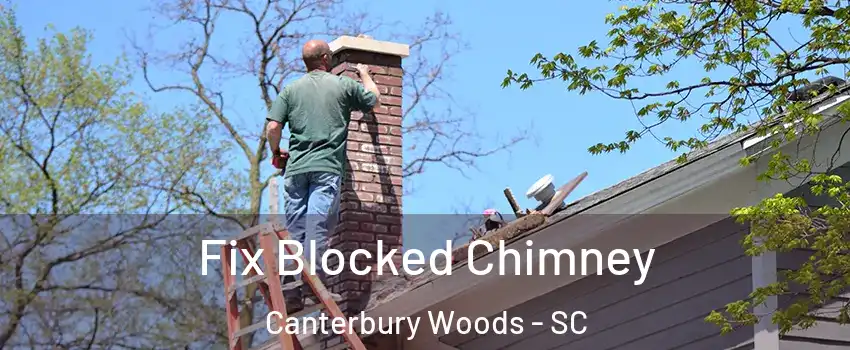 Fix Blocked Chimney Canterbury Woods - SC