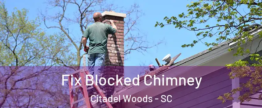 Fix Blocked Chimney Citadel Woods - SC