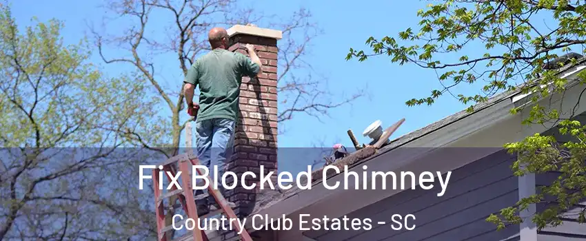 Fix Blocked Chimney Country Club Estates - SC