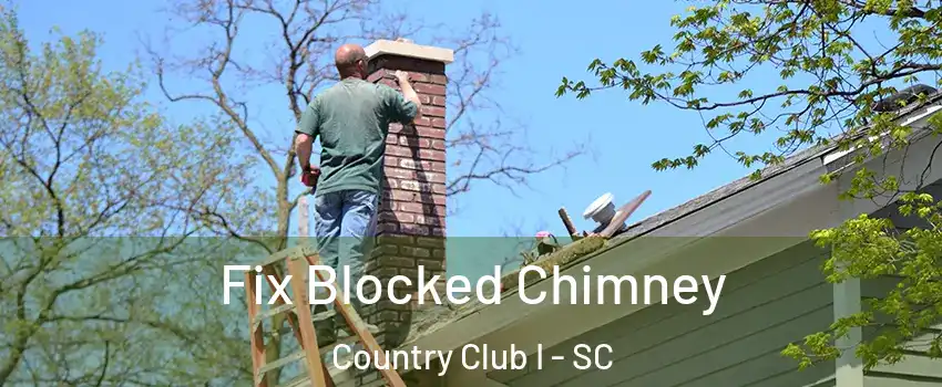 Fix Blocked Chimney Country Club I - SC