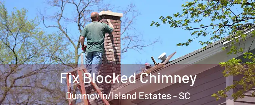 Fix Blocked Chimney Dunmovin/Island Estates - SC