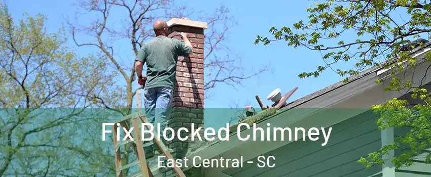 Fix Blocked Chimney East Central - SC