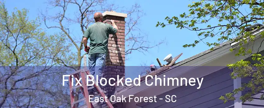 Fix Blocked Chimney East Oak Forest - SC