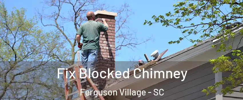 Fix Blocked Chimney Ferguson Village - SC