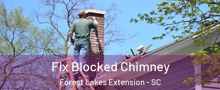 Fix Blocked Chimney Forest Lakes Extension - SC