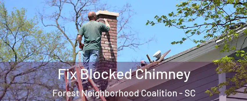 Fix Blocked Chimney Forest Neighborhood Coalition - SC