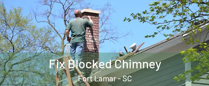 Fix Blocked Chimney Fort Lamar - SC