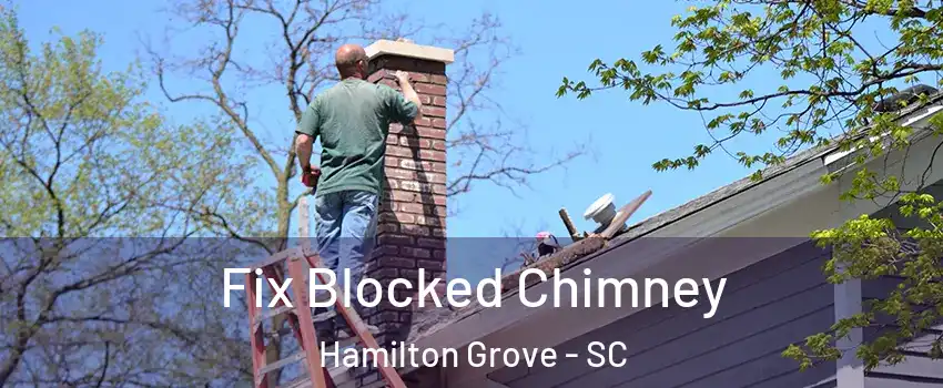 Fix Blocked Chimney Hamilton Grove - SC