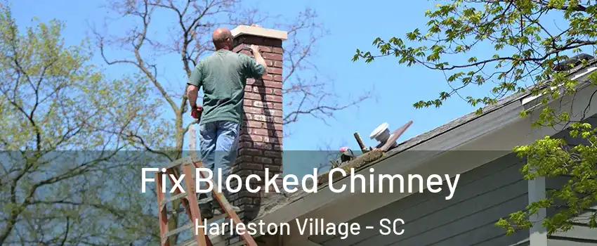 Fix Blocked Chimney Harleston Village - SC