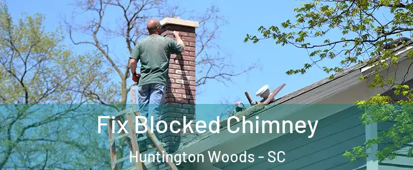 Fix Blocked Chimney Huntington Woods - SC