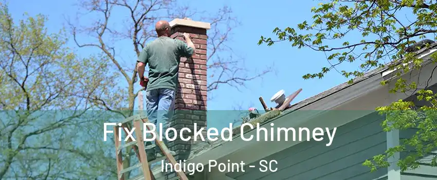 Fix Blocked Chimney Indigo Point - SC