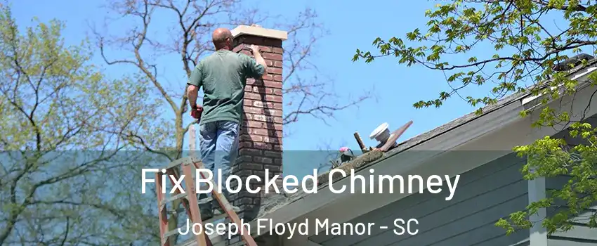 Fix Blocked Chimney Joseph Floyd Manor - SC