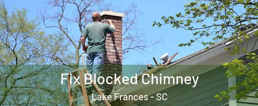 Fix Blocked Chimney Lake Frances - SC