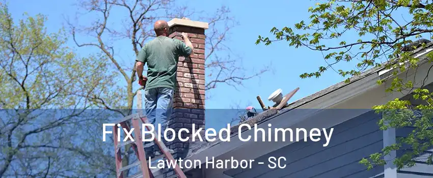 Fix Blocked Chimney Lawton Harbor - SC