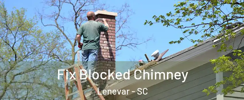 Fix Blocked Chimney Lenevar - SC