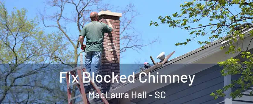 Fix Blocked Chimney MacLaura Hall - SC