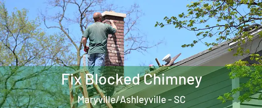 Fix Blocked Chimney Maryville/Ashleyville - SC