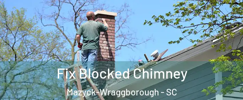 Fix Blocked Chimney Mazyck-Wraggborough - SC