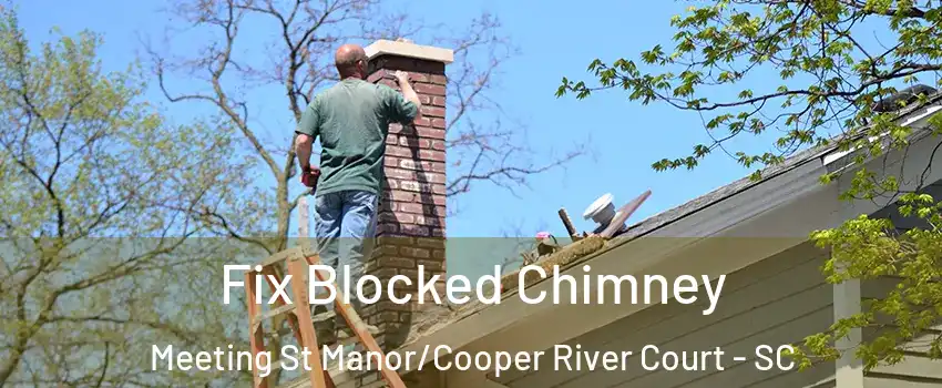 Fix Blocked Chimney Meeting St Manor/Cooper River Court - SC