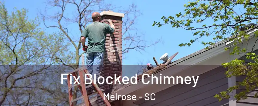 Fix Blocked Chimney Melrose - SC