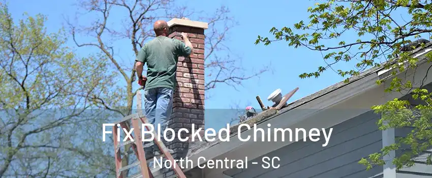 Fix Blocked Chimney North Central - SC