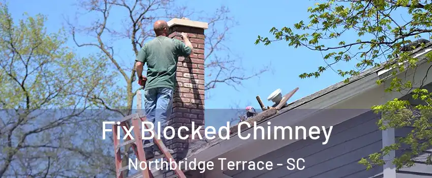 Fix Blocked Chimney Northbridge Terrace - SC