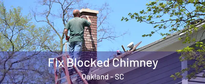 Fix Blocked Chimney Oakland - SC