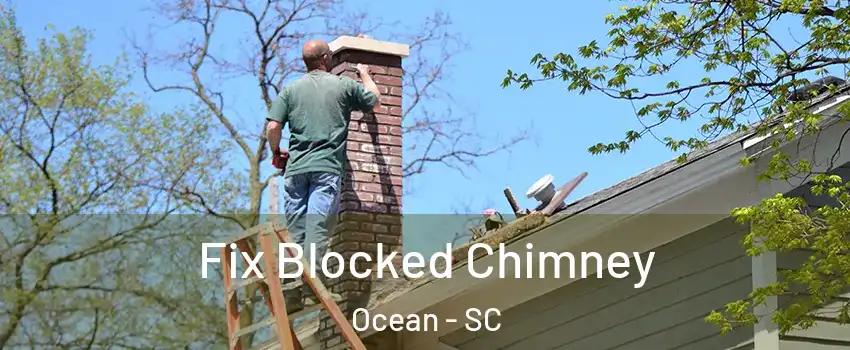 Fix Blocked Chimney Ocean - SC