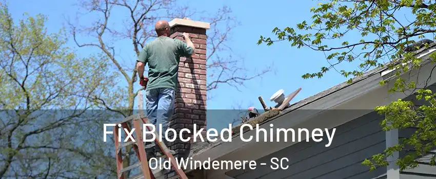 Fix Blocked Chimney Old Windemere - SC