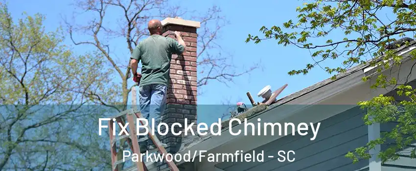 Fix Blocked Chimney Parkwood/Farmfield - SC