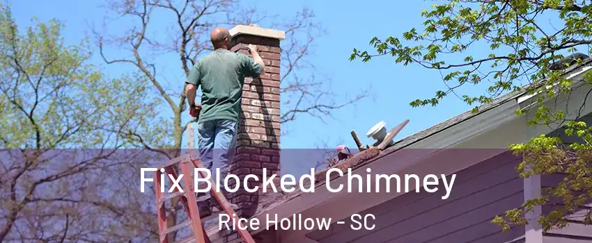 Fix Blocked Chimney Rice Hollow - SC