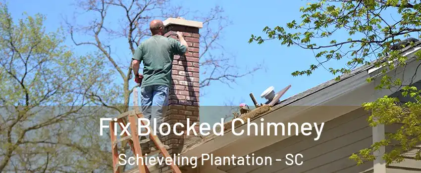 Fix Blocked Chimney Schieveling Plantation - SC