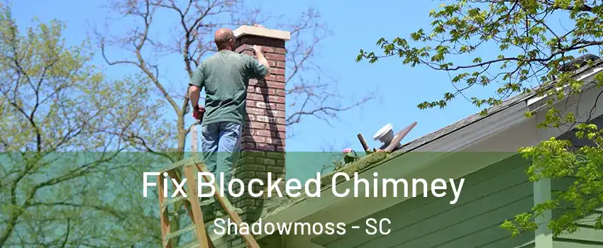 Fix Blocked Chimney Shadowmoss - SC