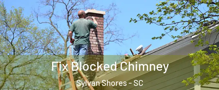 Fix Blocked Chimney Sylvan Shores - SC