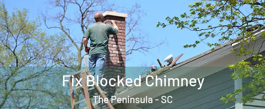 Fix Blocked Chimney The Peninsula - SC