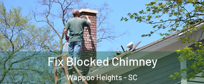 Fix Blocked Chimney Wappoo Heights - SC