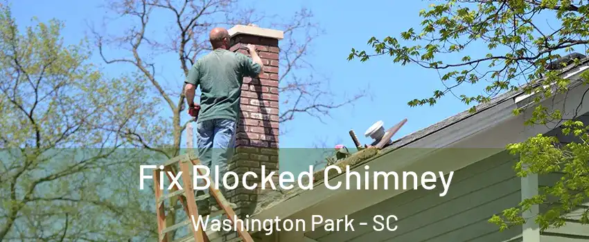 Fix Blocked Chimney Washington Park - SC