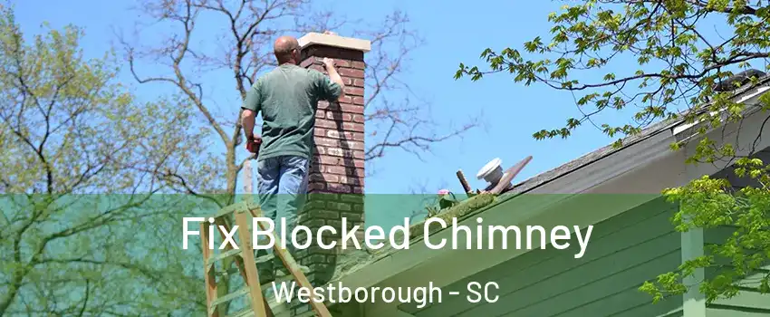 Fix Blocked Chimney Westborough - SC