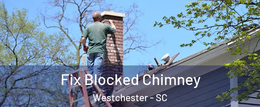 Fix Blocked Chimney Westchester - SC