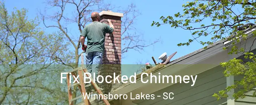 Fix Blocked Chimney Winnsboro Lakes - SC