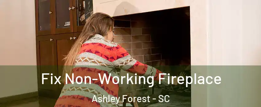 Fix Non-Working Fireplace Ashley Forest - SC