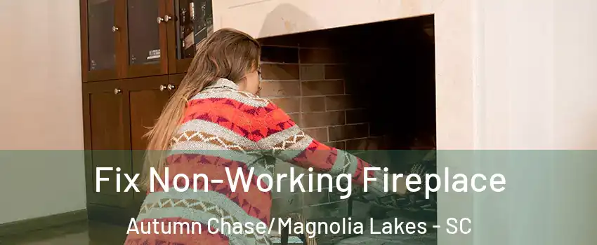 Fix Non-Working Fireplace Autumn Chase/Magnolia Lakes - SC