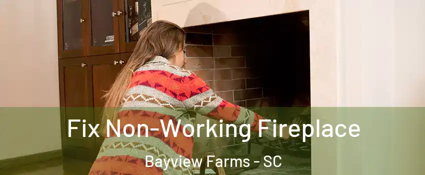 Fix Non-Working Fireplace Bayview Farms - SC