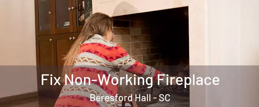 Fix Non-Working Fireplace Beresford Hall - SC