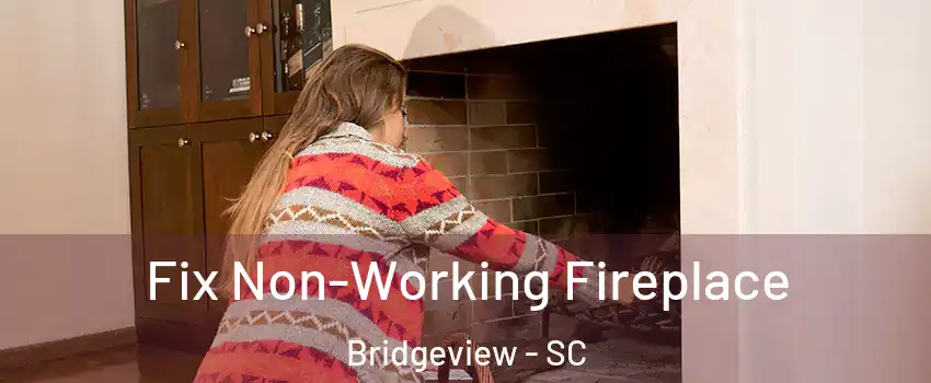 Fix Non-Working Fireplace Bridgeview - SC