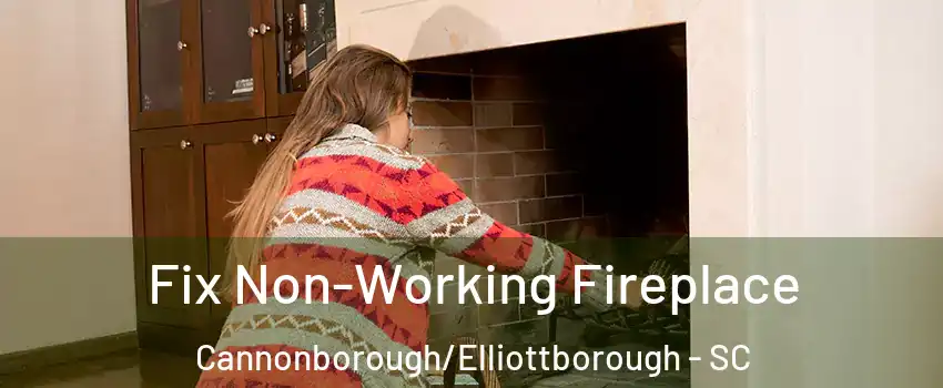 Fix Non-Working Fireplace Cannonborough/Elliottborough - SC