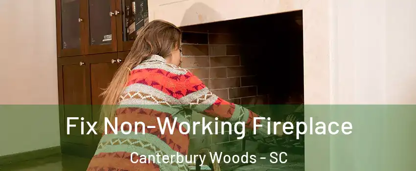 Fix Non-Working Fireplace Canterbury Woods - SC